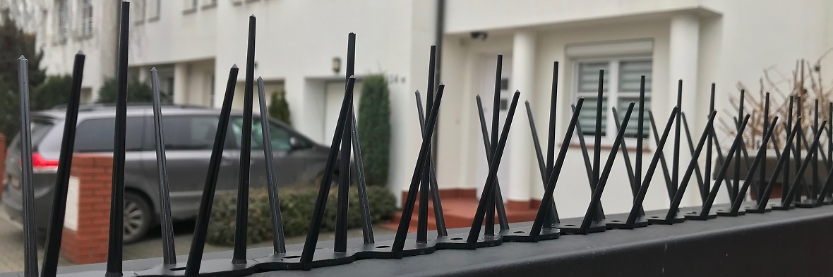 Kolce na ptaki montaż Warszawa - wybierz firmę Jacopic