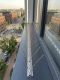 KOLCE JACOPIC TYP Metal w